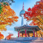 Seoul: biglietto combinato per l'osservatorio della N Seoul Tower e la funivia