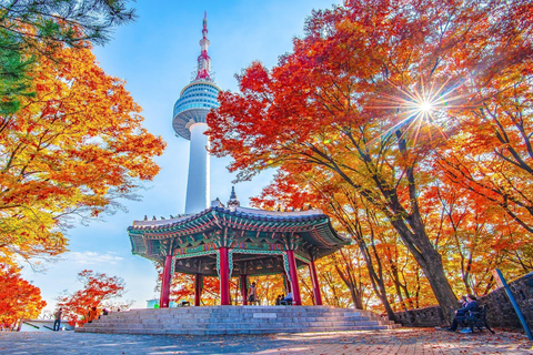 Seoul: N Seoul Tower Observatory & Cable Car Combo Ticket N Seoul Tower & CableCar Combo Ticket (pickup at myeongdong)