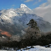 Pokhara Day Easy Hiking Tour To Ghandruk And Ghorepani Getyourguide