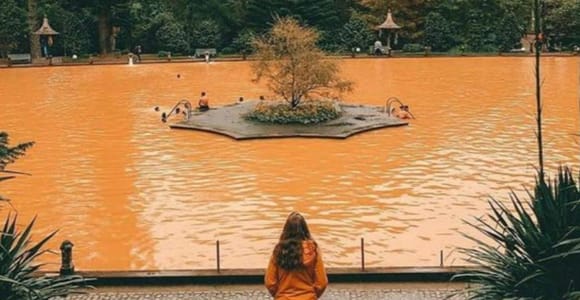 Full day Furnas | Hotsprings | Thermal Baths | Tea Factory