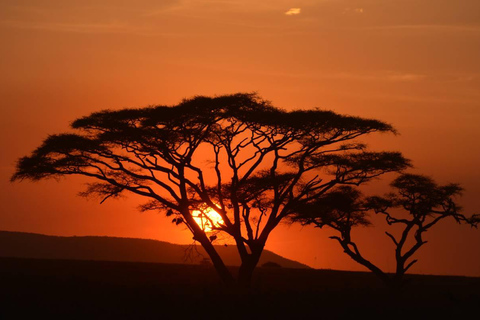 5 Days Tarangire, Ngorongoro & Serengeti National Park