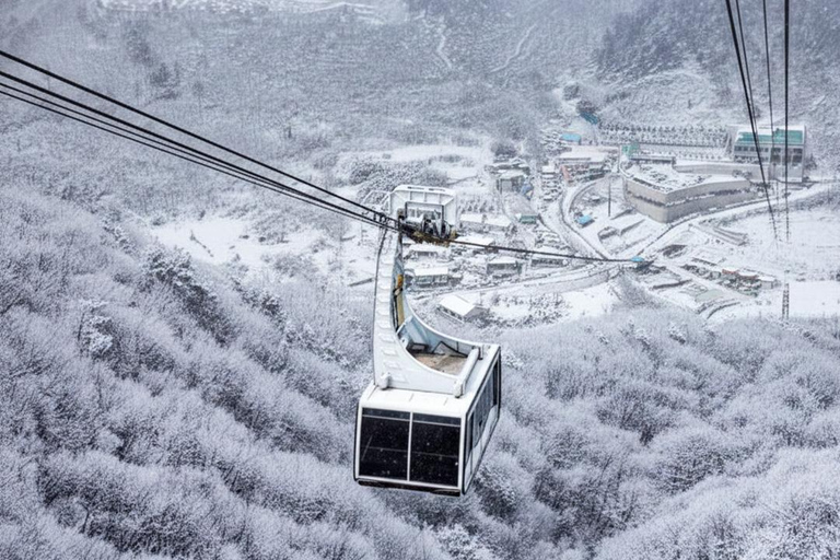 Busan: Discovery Tour With Snow &amp; UNESCO Spot