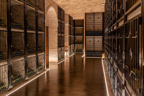 Alicante: Premium Winery: Guided tour with 6 tastings and a special gift