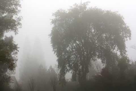 Bath: Dark Secrets & Hidden Haunts – Interactive Ghost Walk