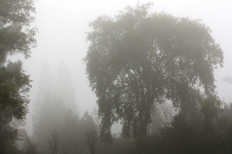 Bath: Dark Secrets & Hidden Haunts – Interactive Ghost Walk