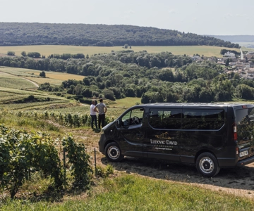 Vineyard tour and Tasting with Champagne Ludovic David