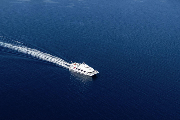 Hvar: Catamaran Journey Between Hvar and Dubrovnik Dubrovnik → Hvar (One Way)