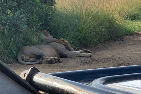 Hluhluwe Imfolozi Park en St Lucia nijlpaardcruise