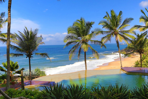 From Kochi: 8-Day Kerala Tour with Houseboat Stay From Kochi: 8 Day Kerala Tour with Houseboat Stay