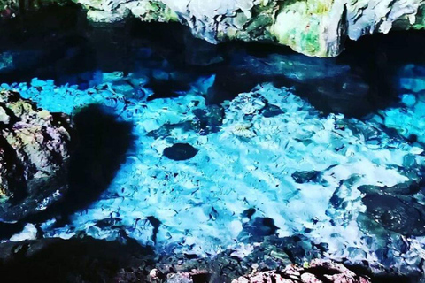 Excursión a la Cueva de Salaam, Cueva de Kuza, Playa de Paje, Comida en La Roca