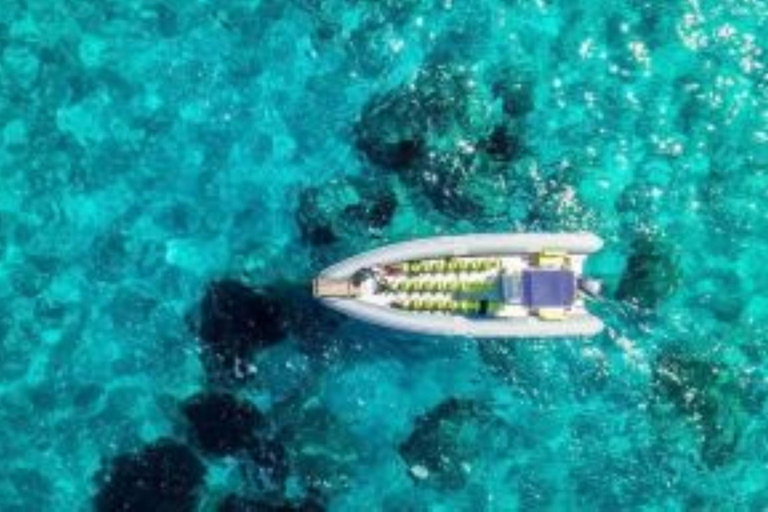 Rubber dinghy tour in Corsica