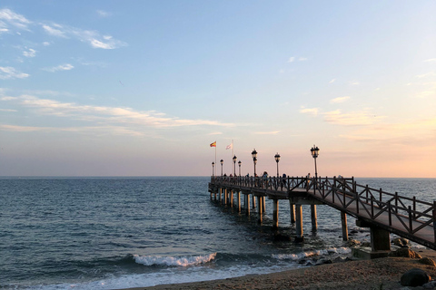 Málaga: Ronda, Marbella, and Puerto Banús Day Trip