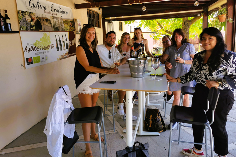 马德里：半日葡萄酒产区之旅