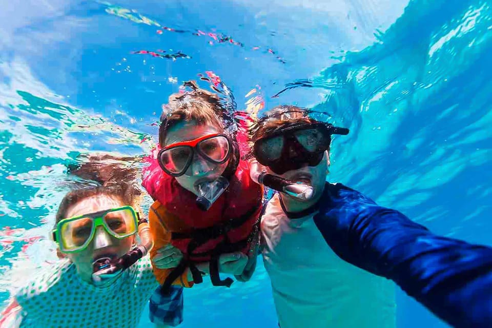 Desde Corralejo Entrada A La Isla De Lobos Y Actividad De Snorkel