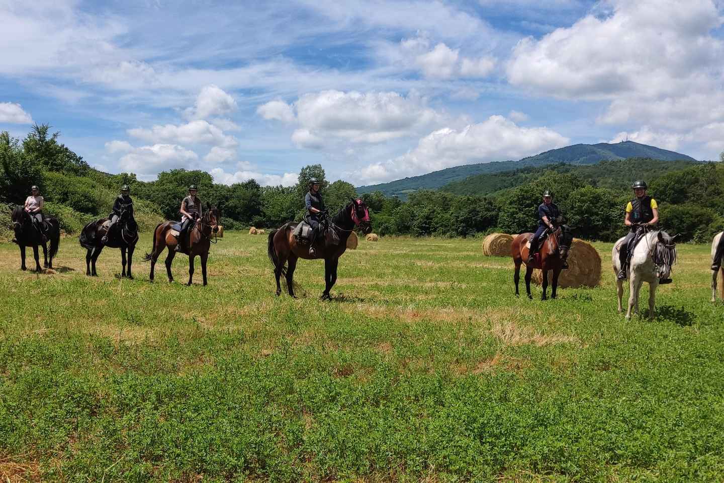 Half-day horseback riding day trip in Tuscany for beginners