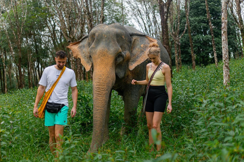 Khao Lak: Besök på elefantreservat och kajaktur i mangroveKhao Lak: kanottur i djungel och vilda djur