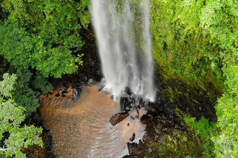 From Accra: ATV, Aburi Gardens, & Waterfalls Trip with Lunch