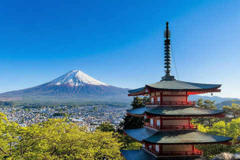 Tokyo: Mt Fuji & Oishi Park, Oshino Hakkai, Chureito Pagoda Free Karaage Chicken Set | Tokyo Station 8:00AM
