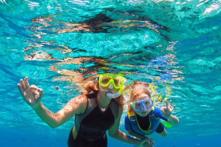 Escursione di un giorno per lo snorkeling dell&#039;isola di Cham con servizio di prelievo in hotelPick up da Da Nang