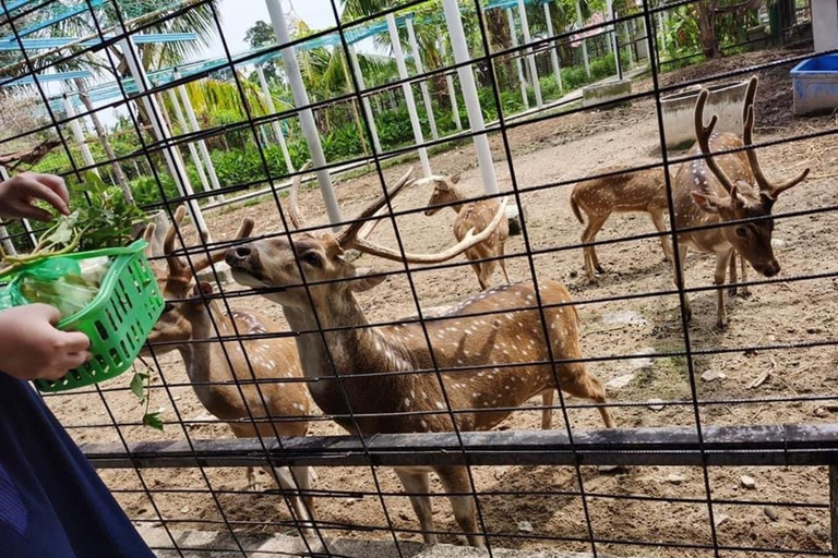 Penang: Balik Pulau Batik Painting &amp; Mini Zoo Petting