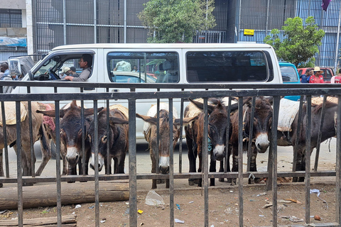 ADDISCOVERY: Addis Abeba Halbtägige flexible Stadtentdeckung