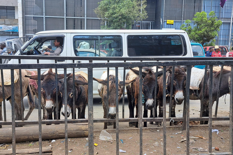 ADDISCOVERY: Addis Abeba Halbtägige flexible Stadtentdeckung