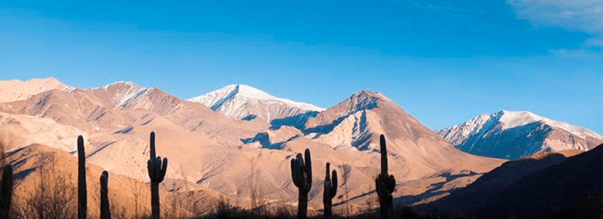 Au départ de Salta : Excursions d'une journée à Cachi et Humahuaca
