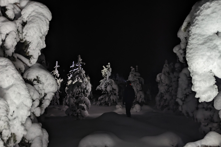 Saariselkä: Schneeschuhwandern Tour im Urho Kekkonen National Park4-stündige Tour inkl. Lagerfeuer