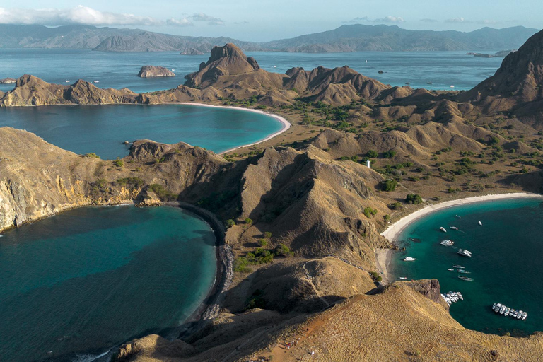 Labuan Bajo: Full-Day Komodo Speedboat Tour with Snorkeling