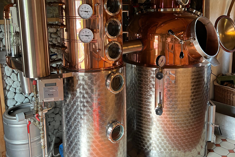 Dresden: Whisky Tasting Experience with Expert Guidance
