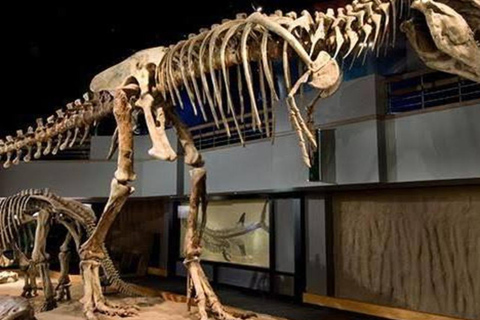 From Calgary: Drumheller Day Tour with Museum Entry
