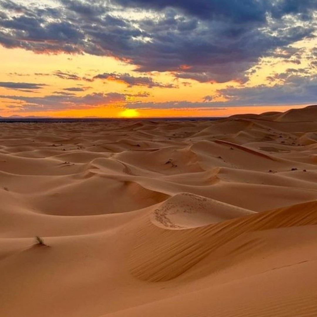 Expérience : Lever du soleil dans le désert de l’Erg Chebbi - bivouac
