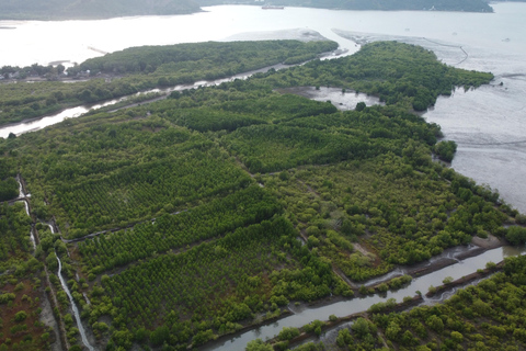 Bagek Kembar: Mangrove & Stingless Beekeeping Experience