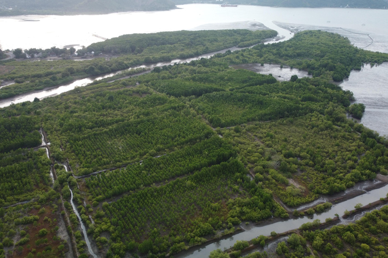 Bagek Kembar: Mangrove & Stingless Beekeeping Experience