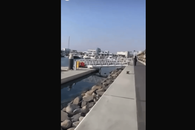 Makkah or Jeddah to Al-Hada, Al-Shafa, and Taif City Tour A journey full of experiences، learn about Saudi hospitality