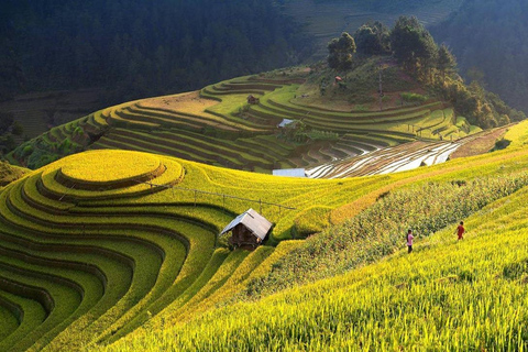 From Hanoi: Visit Sapa 3 Days & See The Terraced Fields Group Tour With A 4-Star Hotel