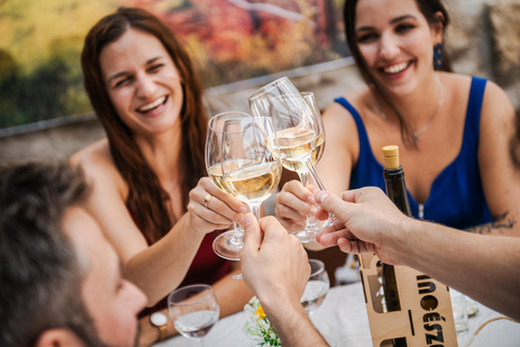 Budapest: Half-Day Wine Tour and Meal in Local Wine Village