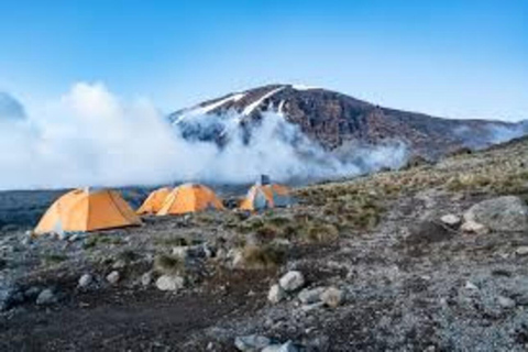 8 Daagse Kilimanjaro Klimroute via de Lemosho Route