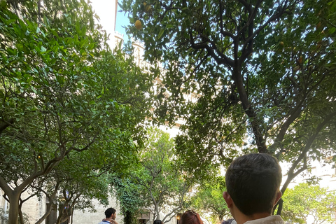 Valencia Old Town: Guided Tour in German with an Official Guide (Small Group) Valencia Old Town: Small Group City Tour in German