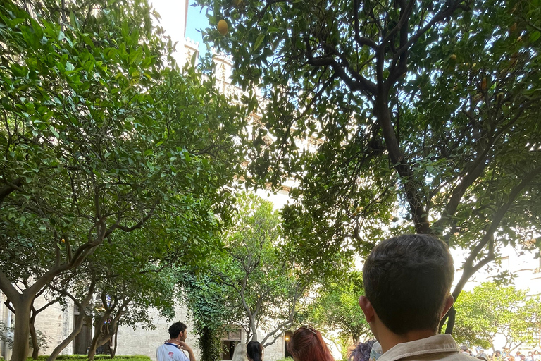 Valencia Old Town: Guided Tour in German with an Official Guide (Small Group) Valencia Old Town: Small Group City Tour in German