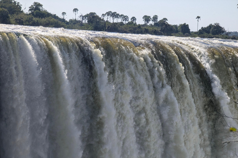 Victoria Falls: Guided Tour with Rainforest & Big Tree Full Heritage Experience: Falls, Rail & City