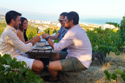 Manilva: Nilva Vineyard, Wine Tasting & Tapas Guided Tour Manilva: Nilva Wine Experience: Wine & Tapas