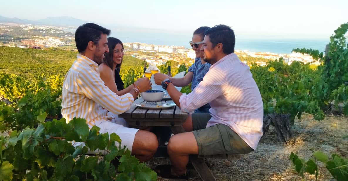 Afbeelding 3 van Manilva: Wijngaard Nilva, Wijnproeverij & Rondleiding Tapas