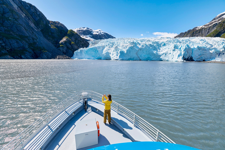 Seward: Captain's Choice Kenai Fjords National Park Tour