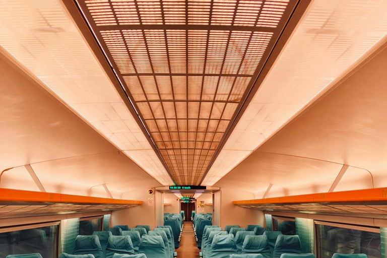 Shanghai: Maglev Train and Disneyland Private Day Trip