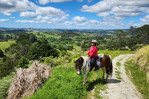 Auckland: Honey Center, Horse Riding & Sheep World Tour