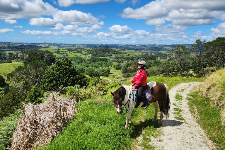 Auckland: Honey Center, Horse Riding & Sheep World Tour