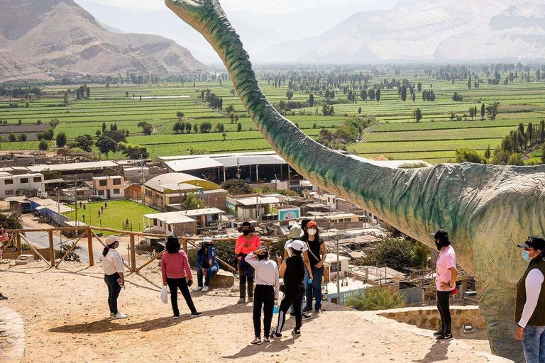Arequipa:Dead Bull Petroglyphs, Querulpa Park and Chancharay