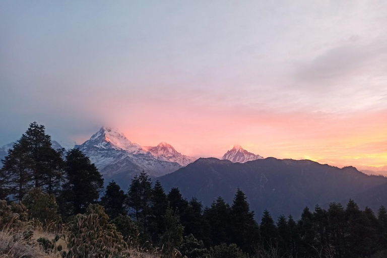 From Pokhara: 4 Day Annapurna Poon Hill with Ghandruk Trek