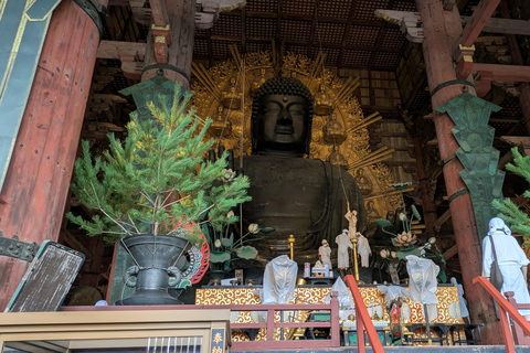 Nara: Private Buddhist Temple Tour with Deer Park Visit